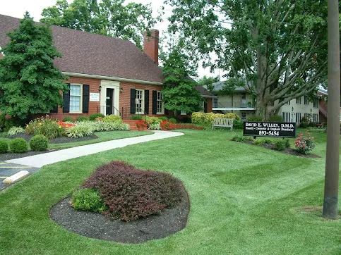 This is a profile image of David